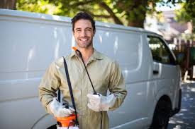 Best Termite Inspection and Treatment  in Fairview, UT